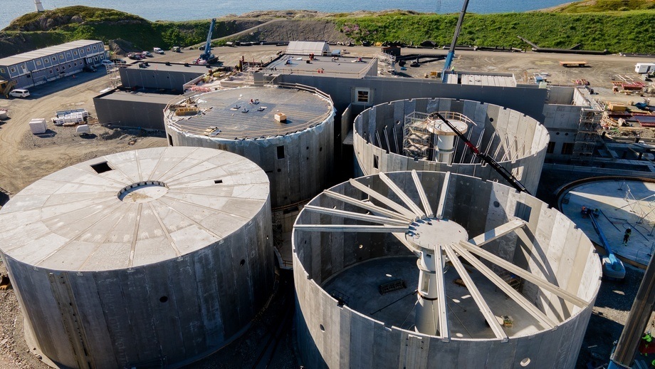 salmon-evoution-2__1_