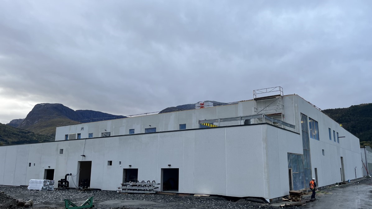 sandesettefisk3_sternerx