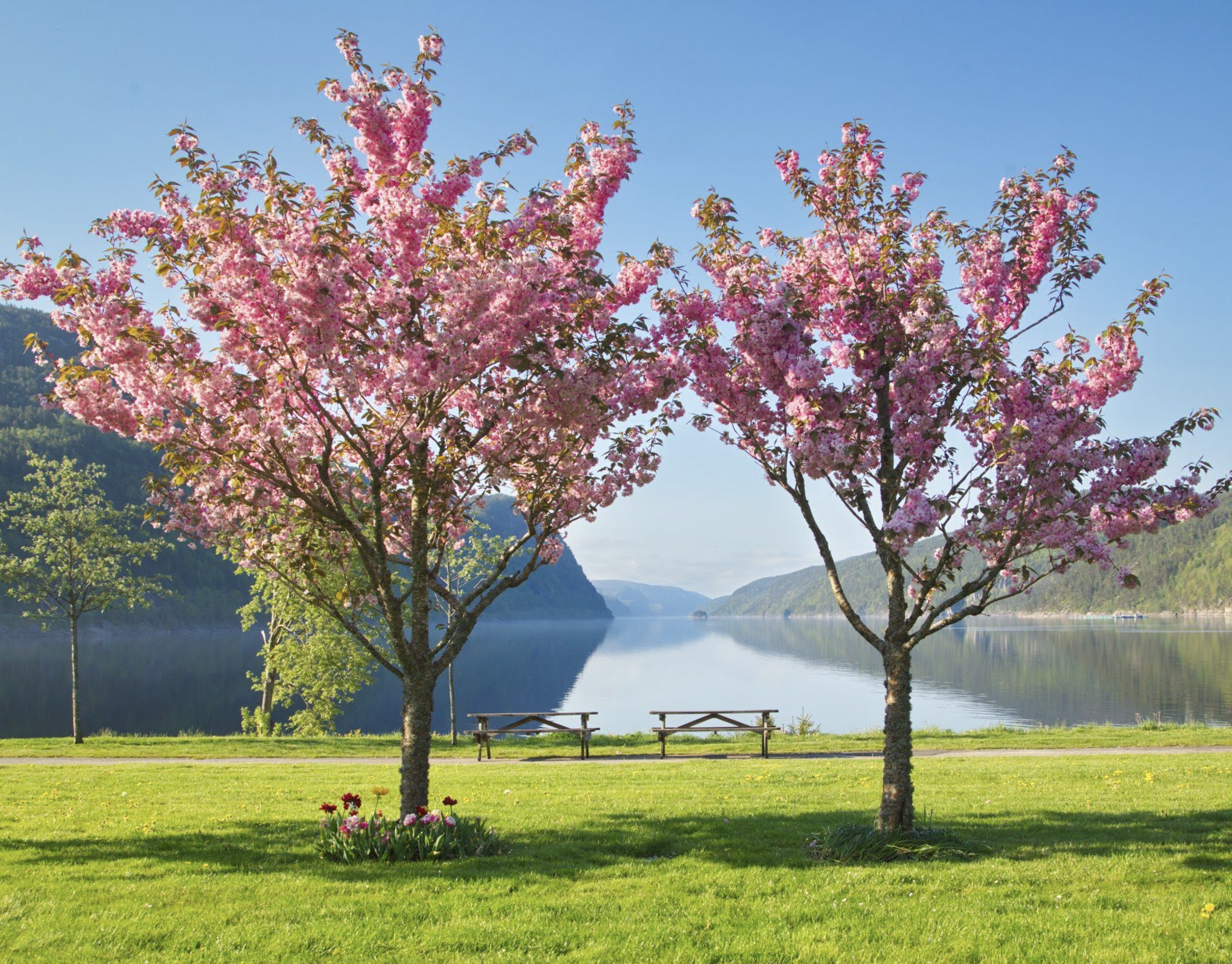 Foto: Spectacular Norway